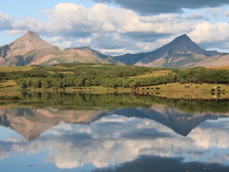 Pincher Creek, Basecamp to Rocky Mountain